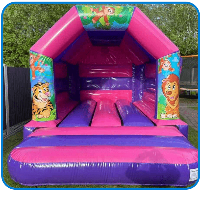 11x15 Pink Gloss Pirate Theme
