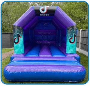 11x15 tik tok theme blue and purple