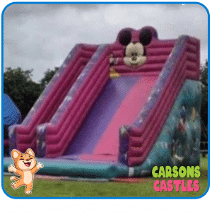 15FT Mega Event Slide
