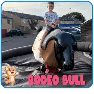 Rodeo Bull Inflatable Hire