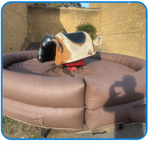 Rodeo Bull Hire