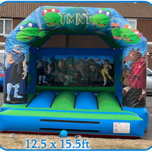 Blue and Green Turtle Inflatable Castle