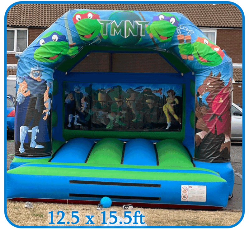 Blue and Green Turtle Inflatable Castle